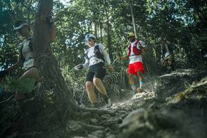 BIB: 
                            <button type="button" onclick="openModal(25988832)" class="btn btn-primary btn-sm float-right btn-popup" data-toggle="modal" data-target=".modal-high-quality">
                        <i class="fas fa-shopping-cart"></i> Add to Cart
                    </button>
                                            <button type="button" onclick="isThisMe(25988832, true)" class="btn btn-success btn-sm float-right btn-popup btn-isme hidden" data-toggle="tooltip" data-placement="bottom" title="นี่คือรูปของคุณใช่ไหม คลิกที่นี่เพื่อเอาเข้าอัลบั้ม">
                        <i class="fas fa-plus"></i> Add to album
                    </button>
                    <button type="button" onclick="isThisMe(25988832, false)" class="btn btn-warning btn-sm float-right btn-popup btn-isnotme hidden">
                        <i class="fas fa-ban"></i> Remove from album
                    </button>